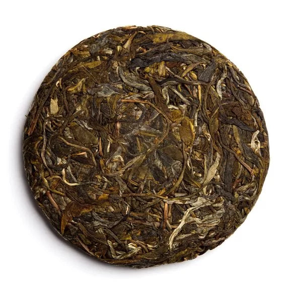 2024 Infinity Sheng Pu Erh